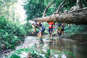 BIB: 
                            <button type="button" onclick="openModal(25443172)" class="btn btn-primary btn-sm float-right btn-popup" data-toggle="modal" data-target=".modal-high-quality">
                        <i class="fas fa-shopping-cart"></i> Add to Cart
                    </button>
                                            <button type="button" onclick="isThisMe(25443172, true)" class="btn btn-success btn-sm float-right btn-popup btn-isme hidden" data-toggle="tooltip" data-placement="bottom" title="นี่คือรูปของคุณใช่ไหม คลิกที่นี่เพื่อเอาเข้าอัลบั้ม">
                        <i class="fas fa-plus"></i> Add to album
                    </button>
                    <button type="button" onclick="isThisMe(25443172, false)" class="btn btn-warning btn-sm float-right btn-popup btn-isnotme hidden">
                        <i class="fas fa-ban"></i> Remove from album
                    </button>